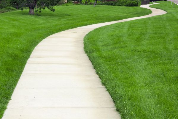 Cost of Pathway Replacement in Boise